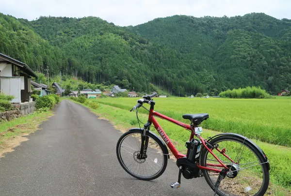 長除橋の写真・動画_image_452535