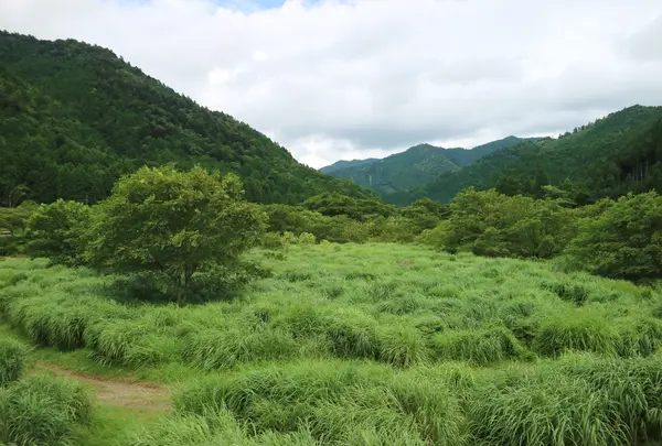 長除橋の写真・動画_image_452536