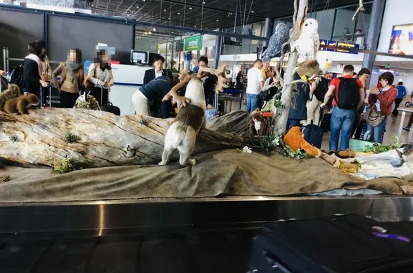 Rovaniemi Airportの写真・動画_image_462842