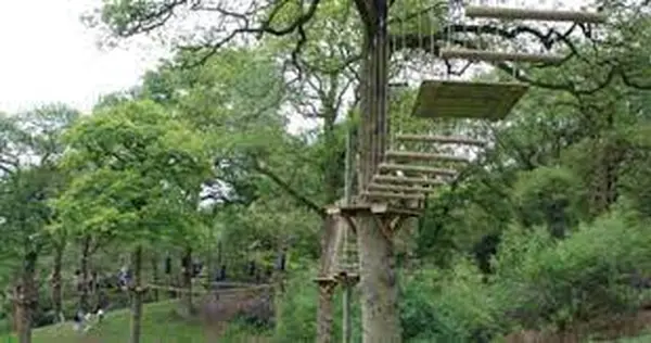 Premier Inn Stoke/Trentham Gardens hotelの写真・動画_image_491175