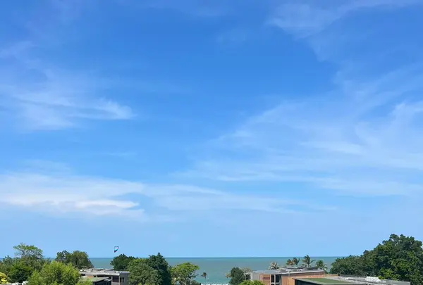 マリオット リゾート ＆ スパの写真・動画_image_607714