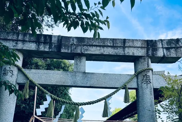 美多彌神社の写真・動画_image_624585