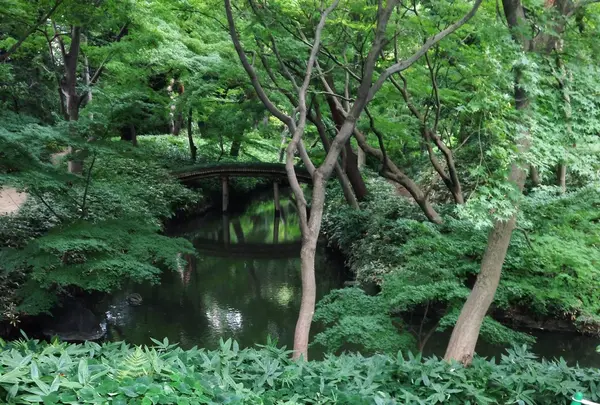 山陰橋