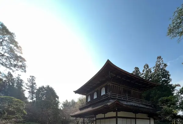 銀閣寺(東山慈照寺)の写真・動画_image_1266253
