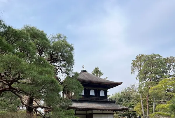銀閣寺(東山慈照寺)の写真・動画_image_1266254
