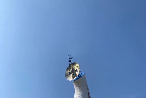 万博記念公園の写真・動画_image_1335694