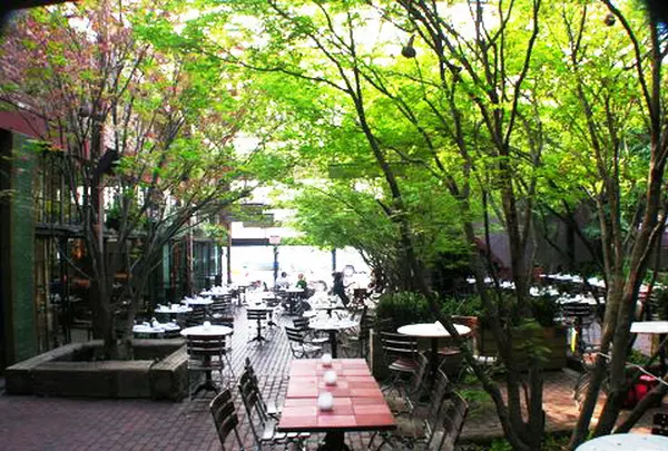 The Park