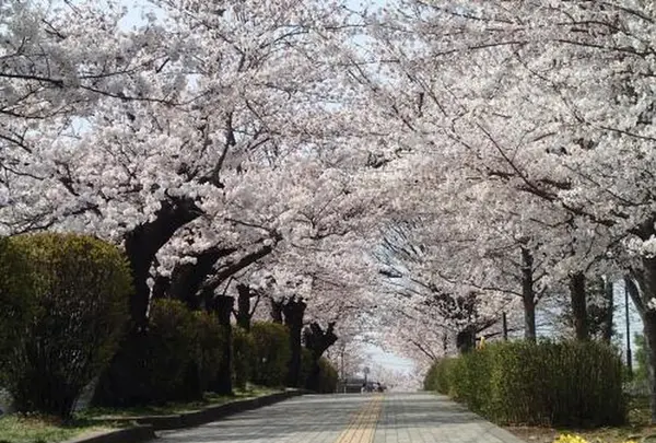 城山公園