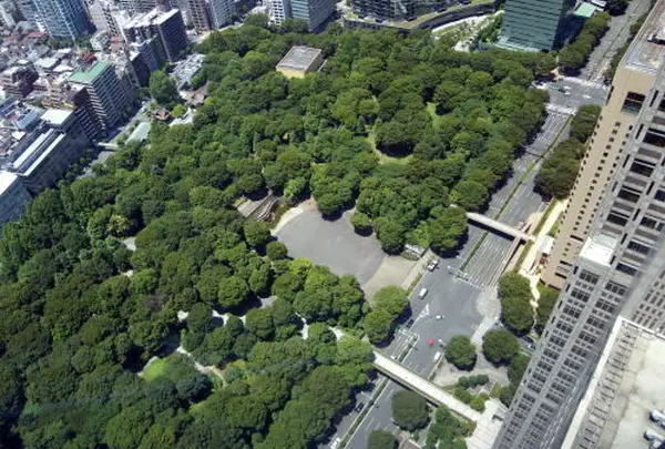 新宿中央公園