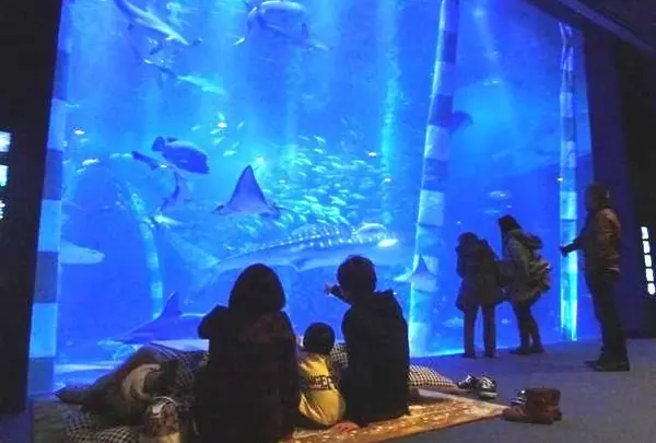 のとじま臨海公園水族館