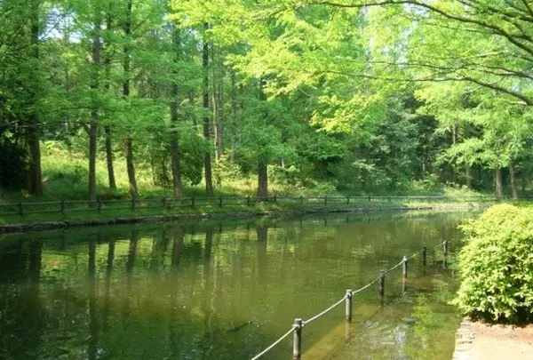 日本庭園 万博公園