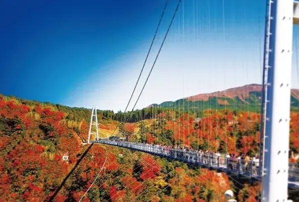 九重“夢”大吊橋