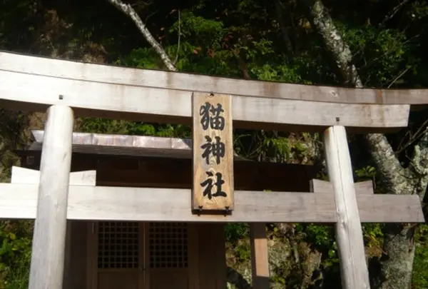 猫神社