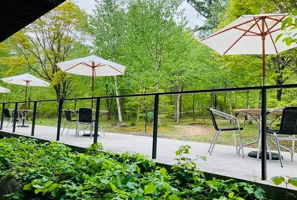 cafe healing terrace
