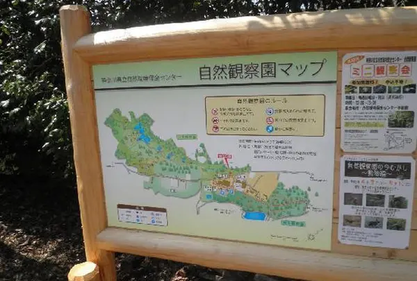 自然観察園