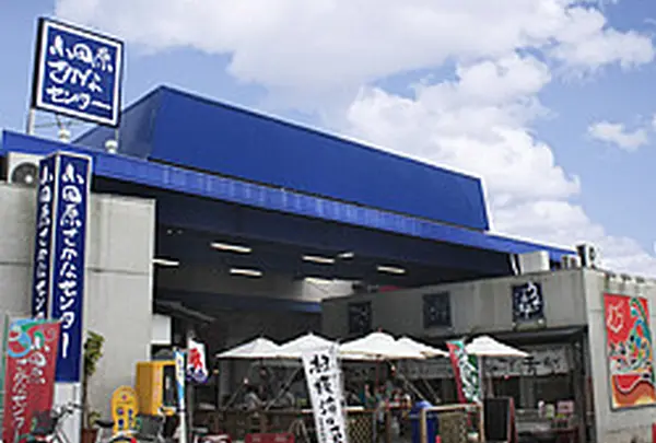 小田原さかなセンター