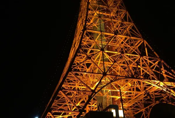 東京タワーの写真・動画_image_215903