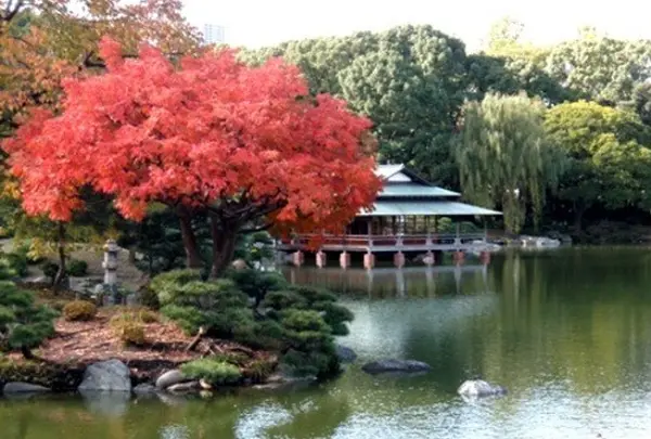 清澄庭園