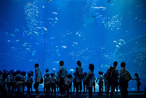 アクアワールド茨城県大洗水族館