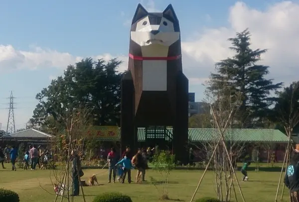つくばわんわんランド