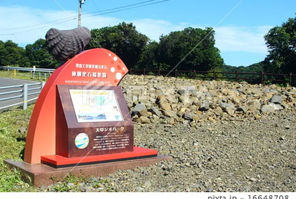 トリゴニア砂岩化石採集場