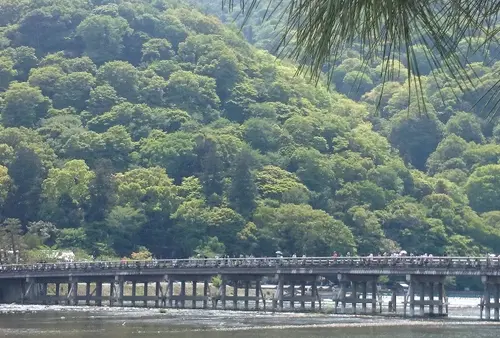 新緑の嵐山、世界遺産 天龍寺と仁和寺