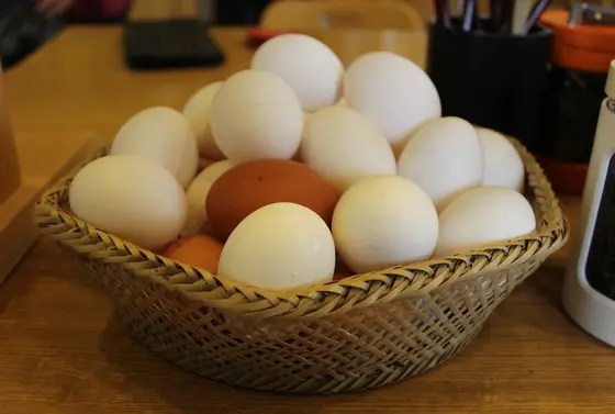 生たまご食べ放題