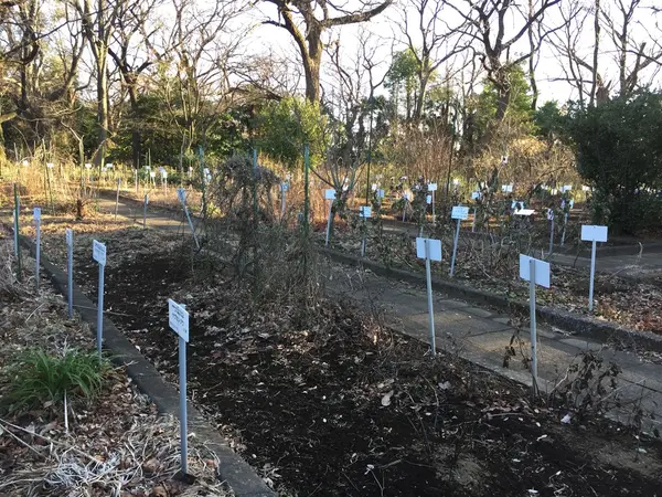 薬園保存園