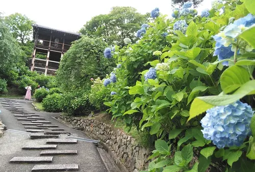 「そうだ、京都・洛西の穴場の寺社、行こう。」