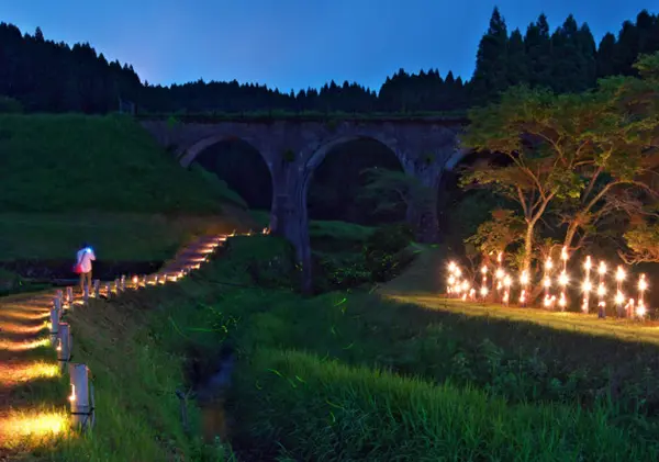 ほたる(6月上旬〜)