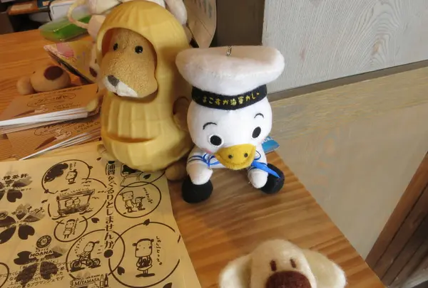 ワンこぱんの写真・動画_image_22198