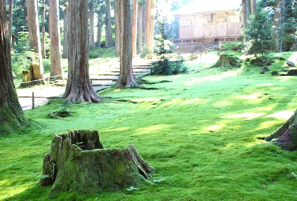 白山平泉寺