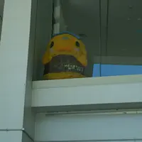 道の駅 スプリングス日吉の写真・動画_image_450225