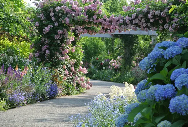 みつけイングリッシュガーデン