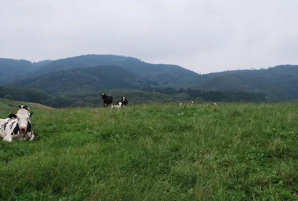 俵原の写真・動画_image_35494