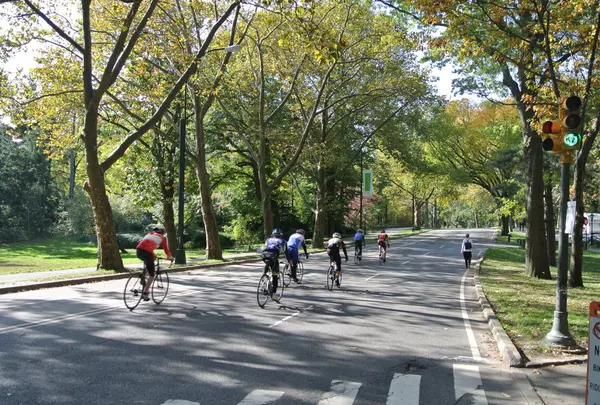 セントラルパークの写真・動画_image_50190