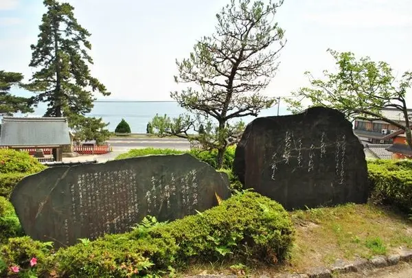 白鬚神社の写真・動画_image_76452