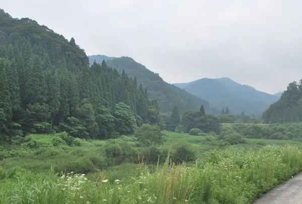 中津ダム