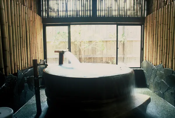 麻生鶴温泉　亀山の湯