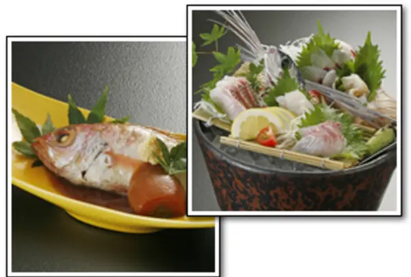 松江のおもてなし料理