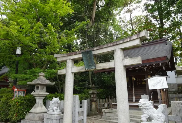 八坂神社の写真・動画_image_356406