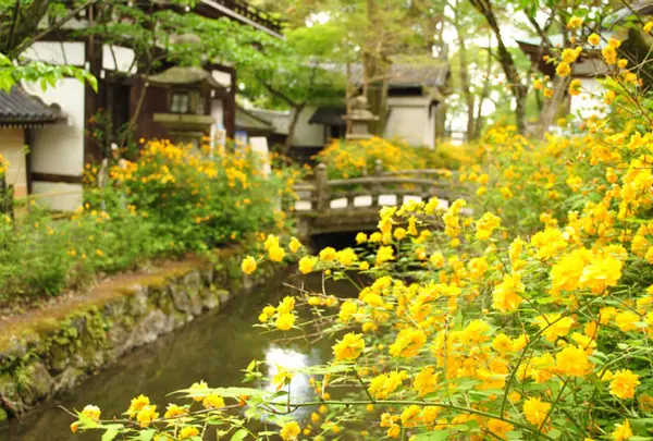 松尾大社　京都