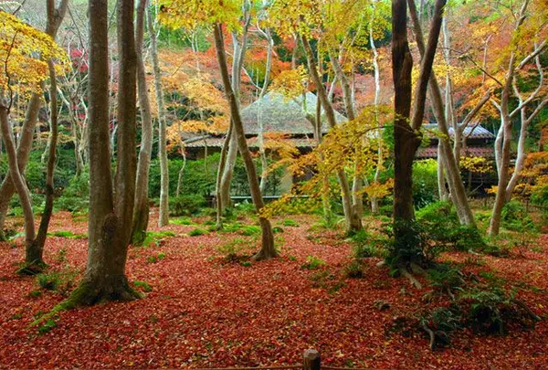 祇王寺