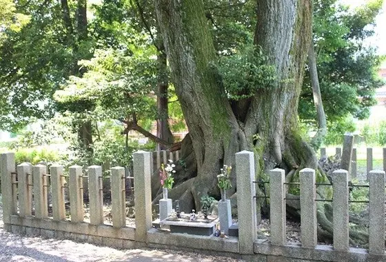 古戦場には首塚があちこちに