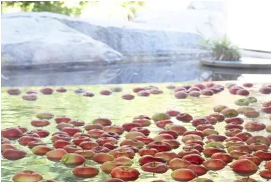 期間限定のりんごの湯も人気だそうです🍎🍎