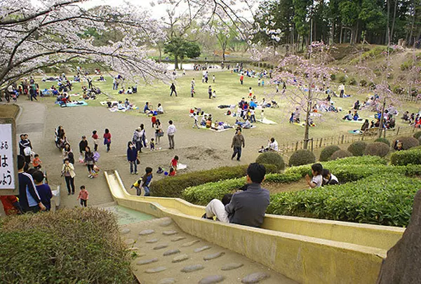 上尾丸山公園