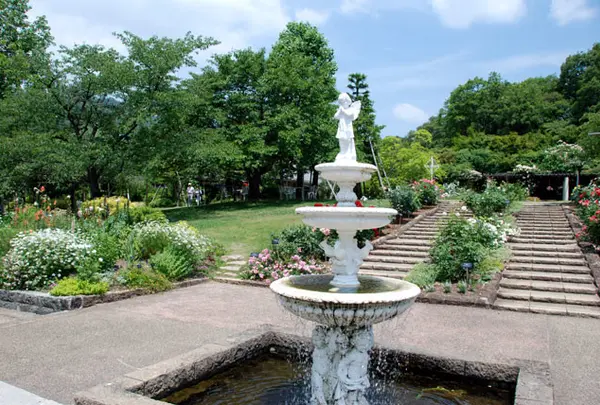 西宮市北山緑化植物園
