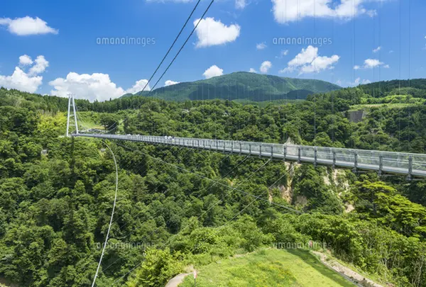 九重“夢”大吊橋