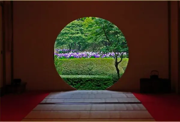 明月院（あじさい寺）