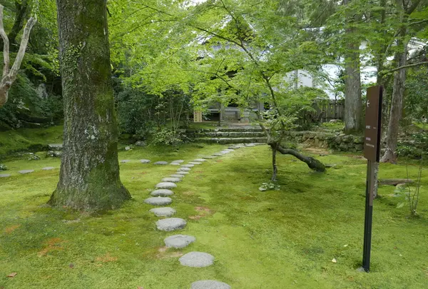庭園が整備されています